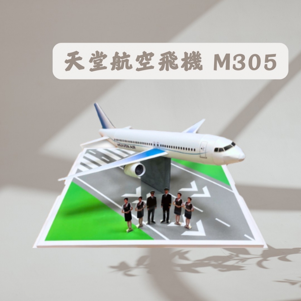 天堂航空飛機 M305