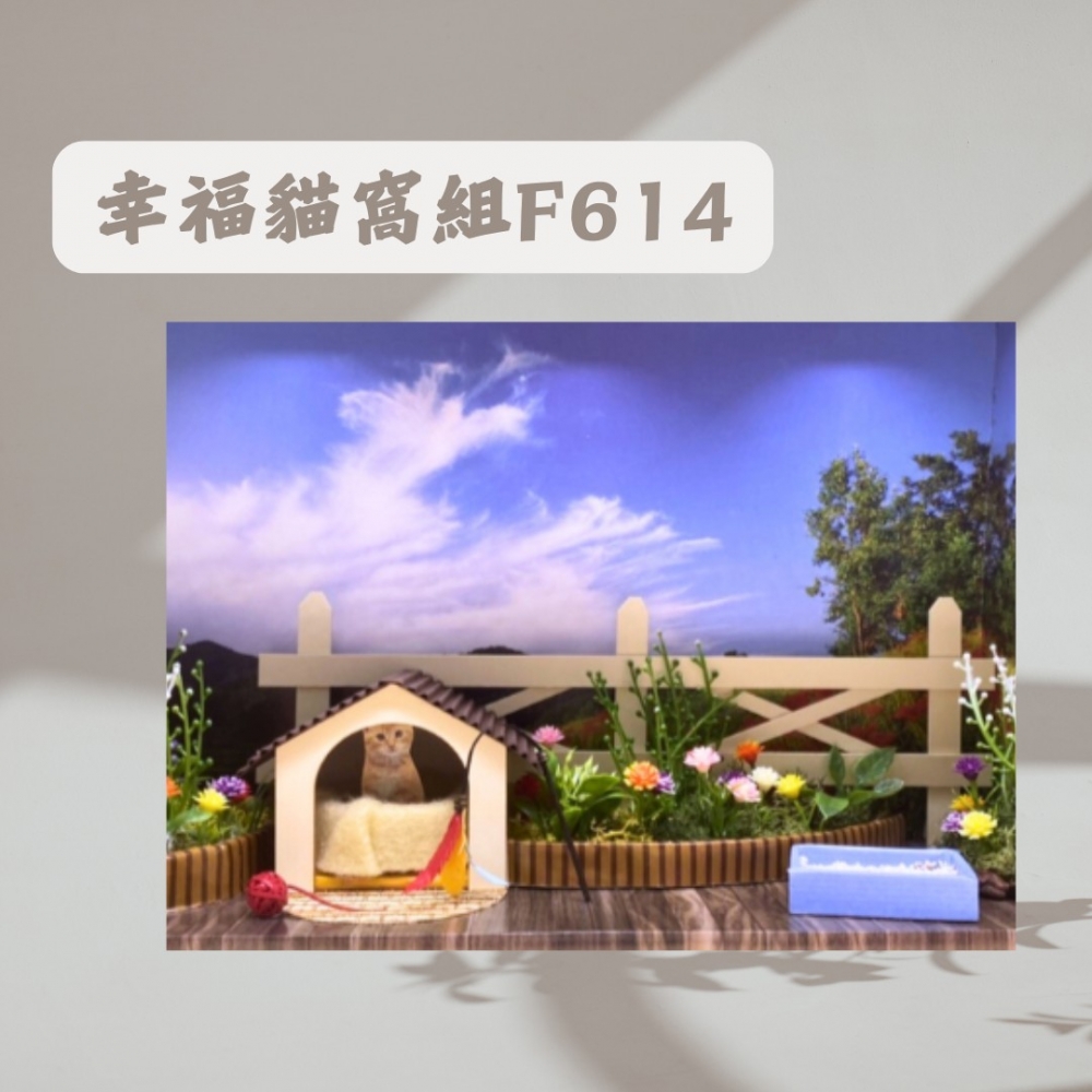 幸福貓窩組 F614