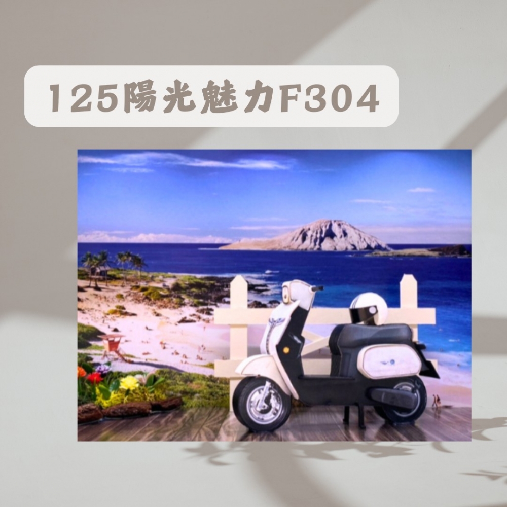 125陽光魅力F304