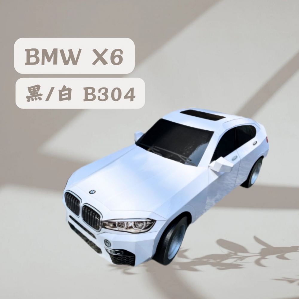 BMW X6 黑/白