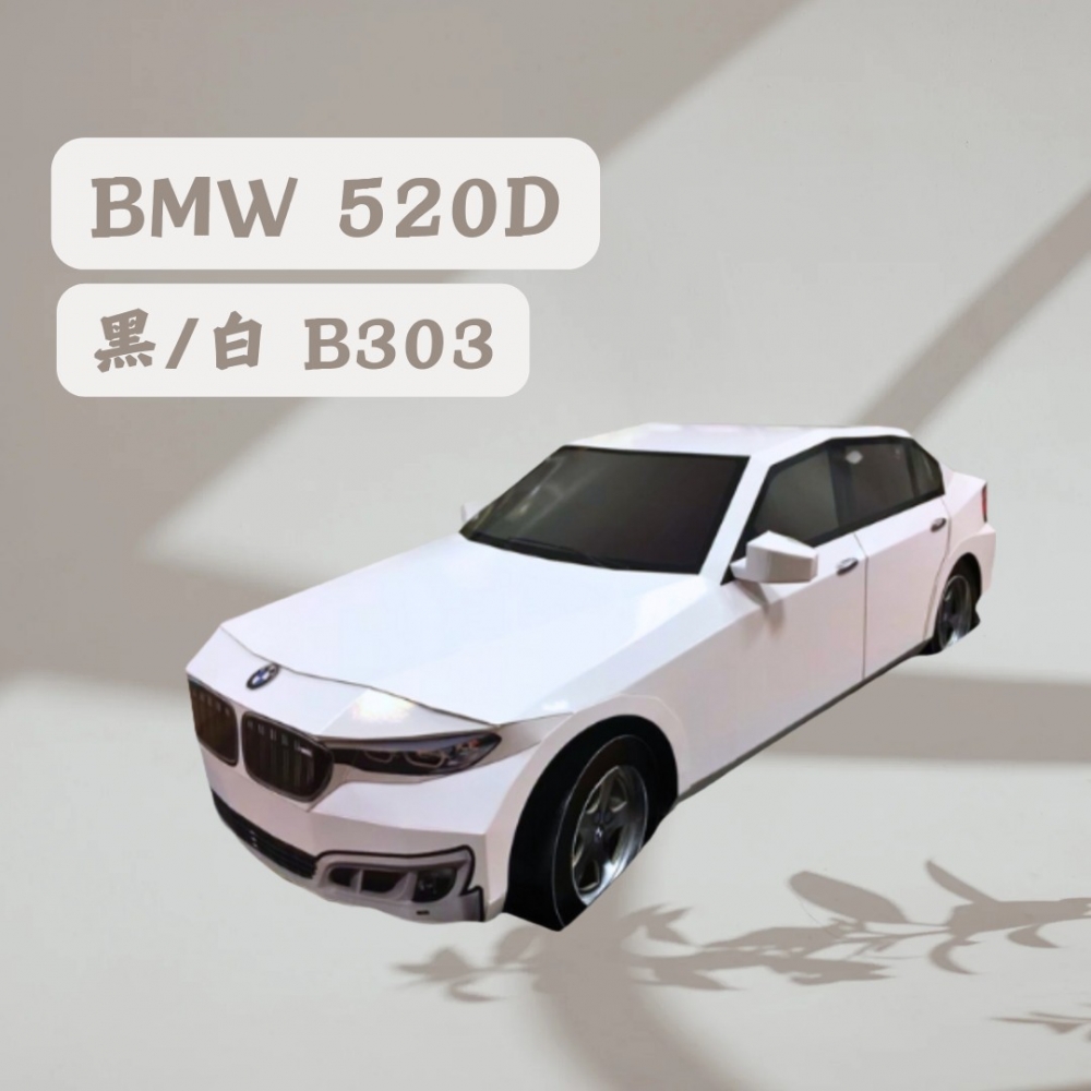 BMW 520D 黑/白B303