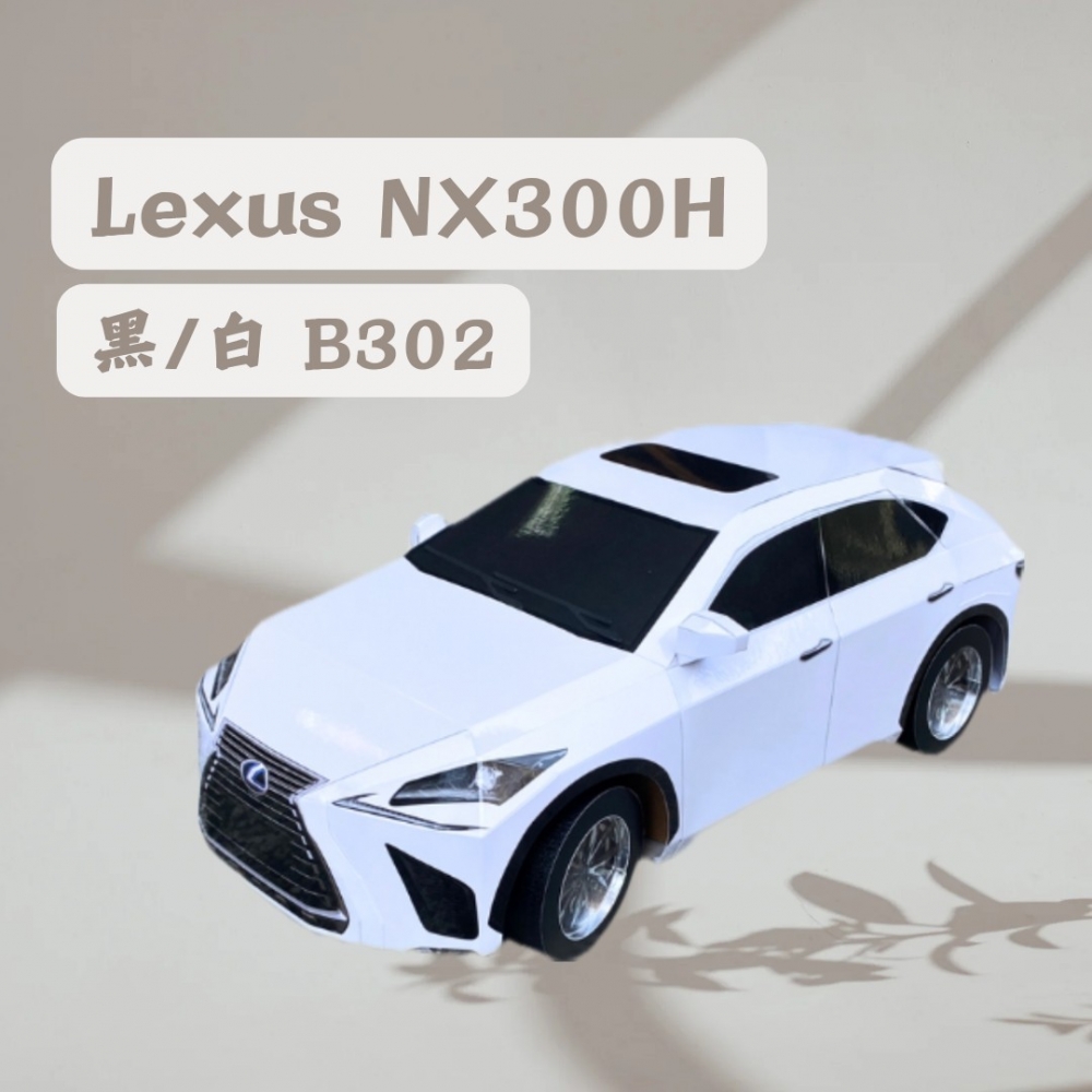 Lexus NX300H 黑/白B302